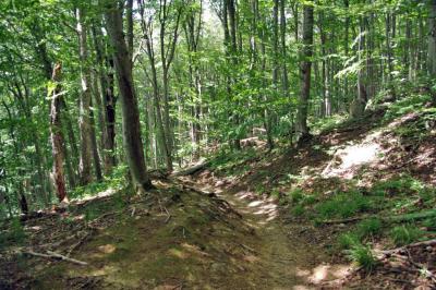 Прикрепленное изображение: IMGP6609.jpg